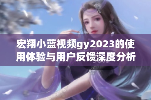 宏翔小蓝视频gy2023的使用体验与用户反馈深度分析