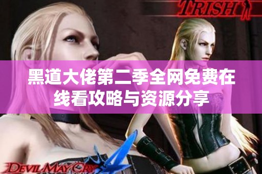 黑道大佬第二季全网免费在线看攻略与资源分享
