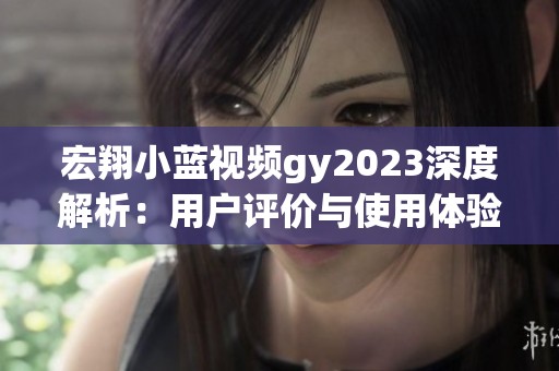 宏翔小蓝视频gy2023深度解析：用户评价与使用体验全盘点