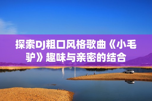 探索DJ粗口风格歌曲《小毛驴》趣味与亲密的结合