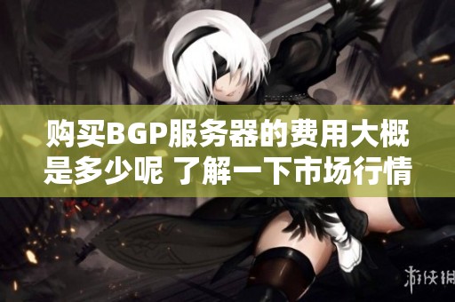 购买BGP服务器的费用大概是多少呢 了解一下市场行情吧
