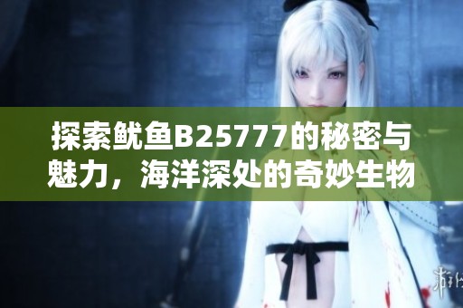 探索鱿鱼B25777的秘密与魅力，海洋深处的奇妙生物