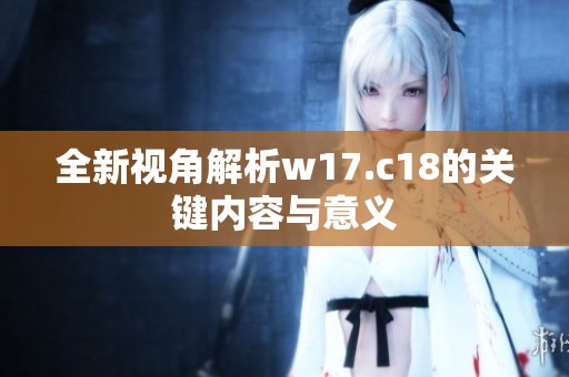 全新视角解析w17.c18的关键内容与意义