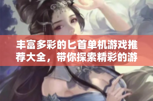 丰富多彩的匕首单机游戏推荐大全，带你探索精彩的游戏世界与独特玩法