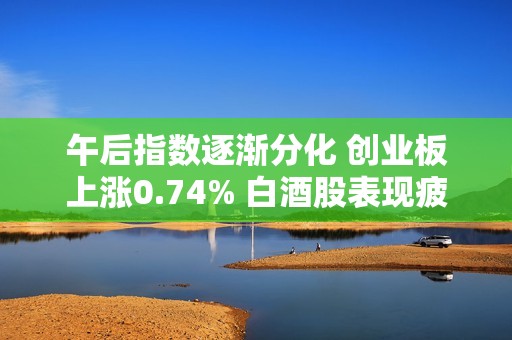 午后指数逐渐分化 创业板上涨0.74% 白酒股表现疲软引关注
