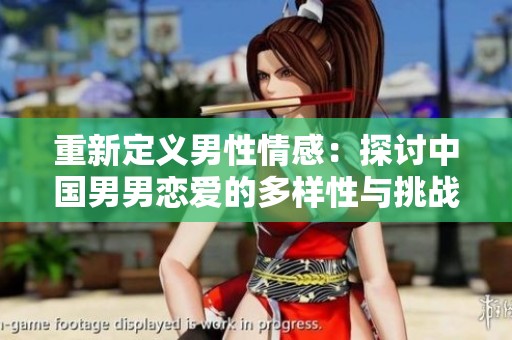 重新定义男性情感：探讨中国男男恋爱的多样性与挑战