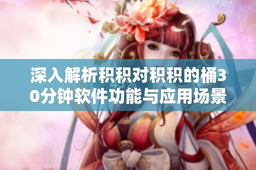 深入解析积积对积积的桶30分钟软件功能与应用场景