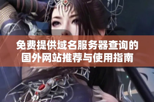 免费提供域名服务器查询的国外网站推荐与使用指南