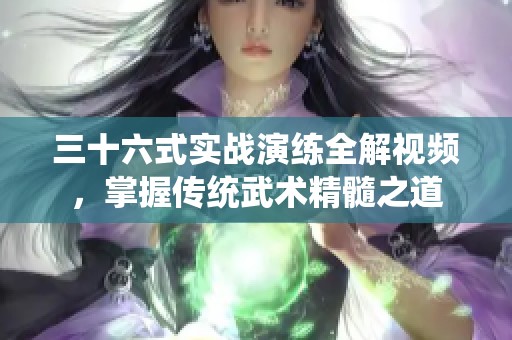 三十六式实战演练全解视频，掌握传统武术精髓之道