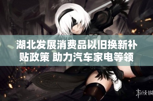 湖北发展消费品以旧换新补贴政策 助力汽车家电等领域的消费增长超过五个百分点