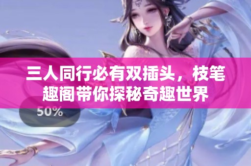 三人同行必有双插头，枝笔趣阁带你探秘奇趣世界