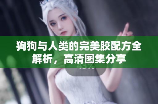 狗狗与人类的完美胶配方全解析，高清图集分享