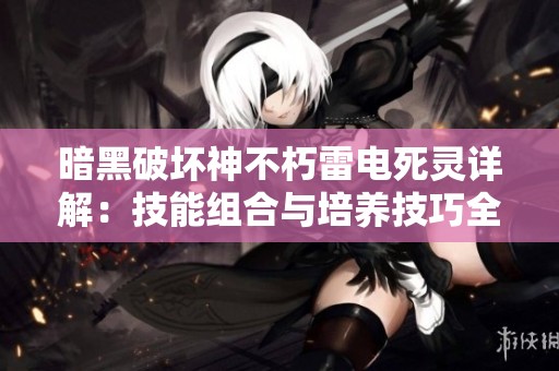 暗黑破坏神不朽雷电死灵详解：技能组合与培养技巧全面解析分享