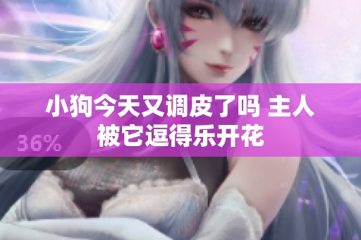 小狗今天又调皮了吗 主人被它逗得乐开花