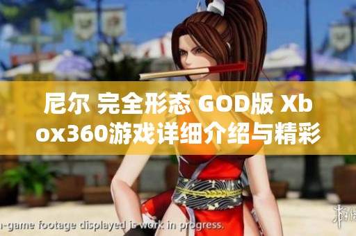 尼尔 完全形态 GOD版 Xbox360游戏详细介绍与精彩评测系统分析