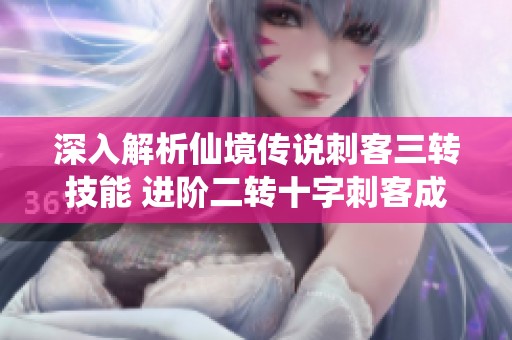 深入解析仙境传说刺客三转技能 进阶二转十字刺客成长攻略与技巧分享