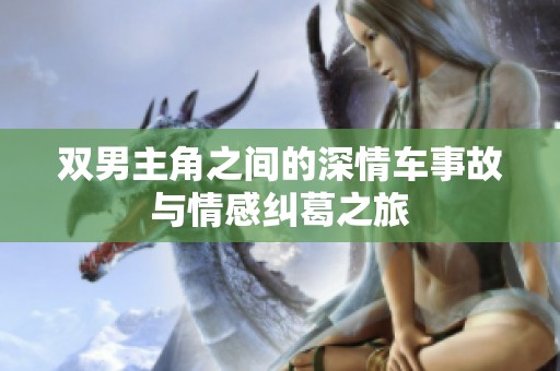 双男主角之间的深情车事故与情感纠葛之旅