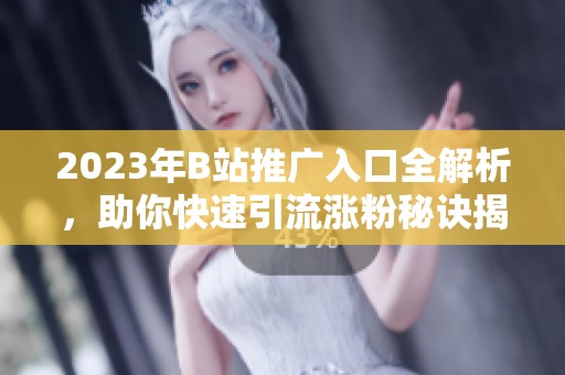 2023年B站推广入口全解析，助你快速引流涨粉秘诀揭秘