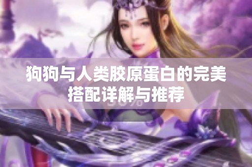 狗狗与人类胶原蛋白的完美搭配详解与推荐