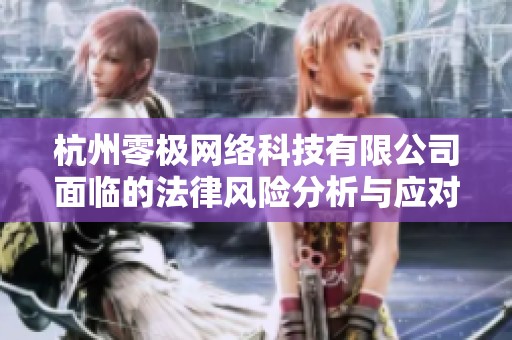 杭州零极网络科技有限公司面临的法律风险分析与应对策略探讨