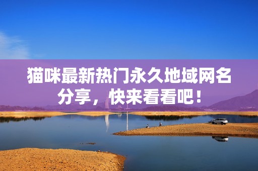 猫咪最新热门永久地域网名分享，快来看看吧！