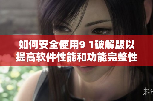 如何安全使用9 1破解版以提高软件性能和功能完整性