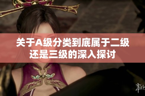 关于A级分类到底属于二级还是三级的深入探讨
