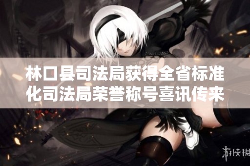 林口县司法局获得全省标准化司法局荣誉称号喜讯传来，凝聚完善司法服务新力量