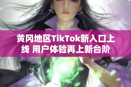 黄冈地区TikTok新入口上线 用户体验再上新台阶