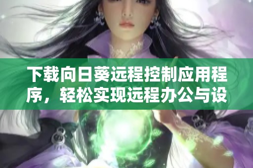 下载向日葵远程控制应用程序，轻松实现远程办公与设备管理
