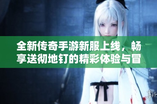 全新传奇手游新服上线，畅享送彻地钉的精彩体验与冒险之旅