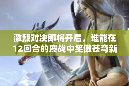 激烈对决即将开启，谁能在12回合的鏖战中笑傲苍穹新服之战