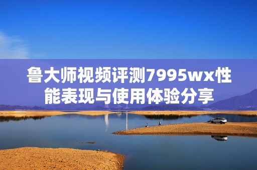 鲁大师视频评测7995wx性能表现与使用体验分享