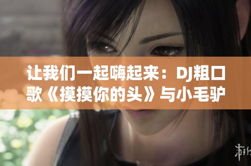 让我们一起嗨起来：DJ粗口歌《摸摸你的头》与小毛驴的奇妙旅程
