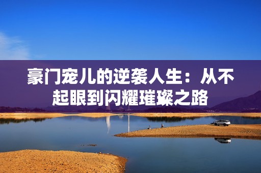 豪门宠儿的逆袭人生：从不起眼到闪耀璀璨之路