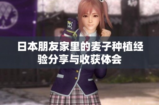 日本朋友家里的麦子种植经验分享与收获体会