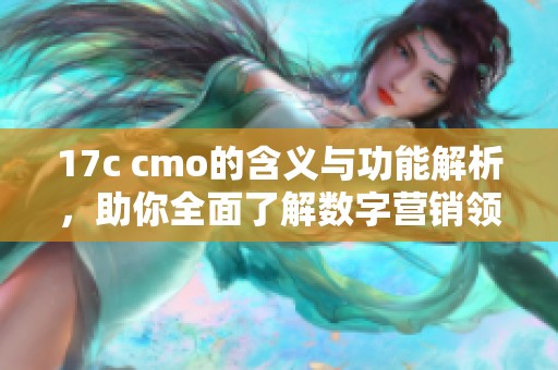 17c cmo的含义与功能解析，助你全面了解数字营销领域