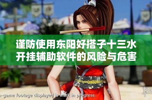 谨防使用东阳好搭子十三水开挂辅助软件的风险与危害分析