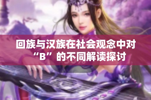 回族与汉族在社会观念中对“B”的不同解读探讨