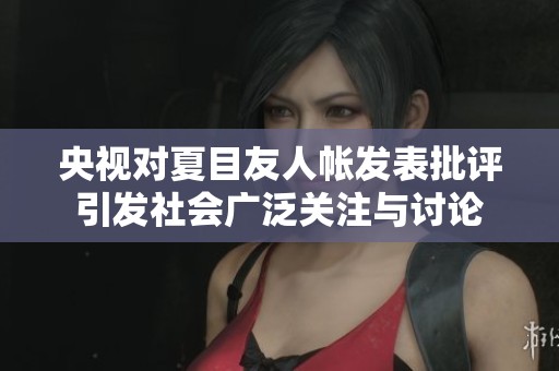 央视对夏目友人帐发表批评引发社会广泛关注与讨论