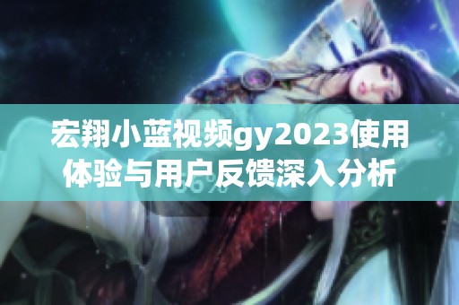宏翔小蓝视频gy2023使用体验与用户反馈深入分析