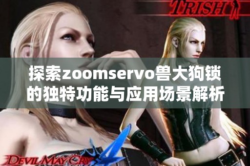 探索zoomservo兽大狗锁的独特功能与应用场景解析