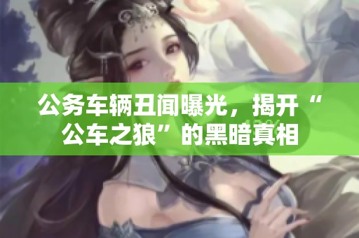 公务车辆丑闻曝光，揭开“公车之狼”的黑暗真相