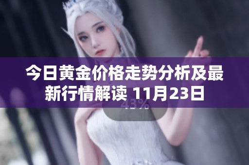今日黄金价格走势分析及最新行情解读 11月23日