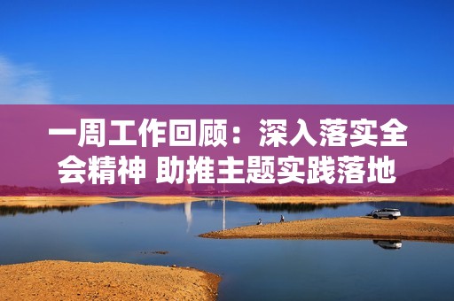 一周工作回顾：深入落实全会精神 助推主题实践落地见效