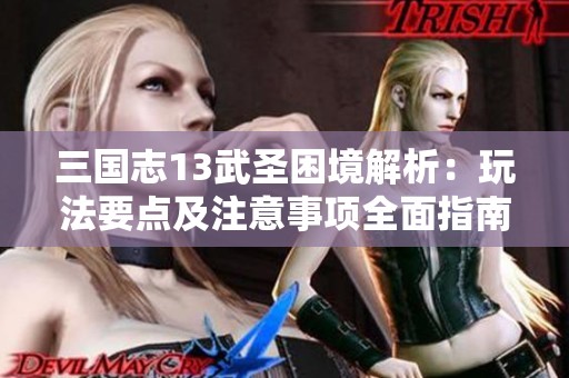 三国志13武圣困境解析：玩法要点及注意事项全面指南