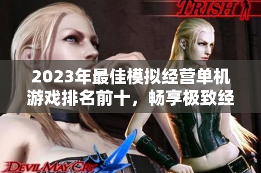 2023年最佳模拟经营单机游戏排名前十，畅享极致经营乐趣