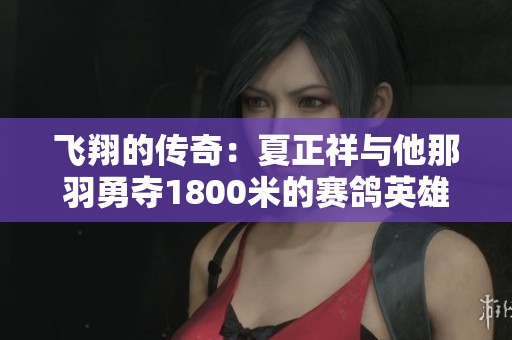 飞翔的传奇：夏正祥与他那羽勇夺1800米的赛鸽英雄