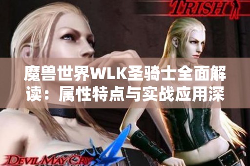 魔兽世界WLK圣骑士全面解读：属性特点与实战应用深度分析