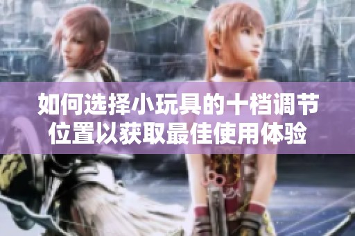 如何选择小玩具的十档调节位置以获取最佳使用体验